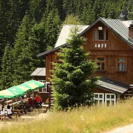 木屋 阿莫尔山区小屋酒店