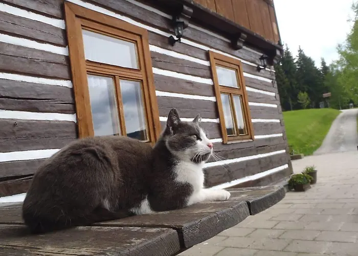 Horská Chalet *